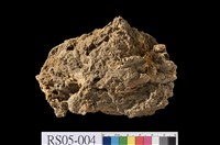 藏品(石灰華)的圖片